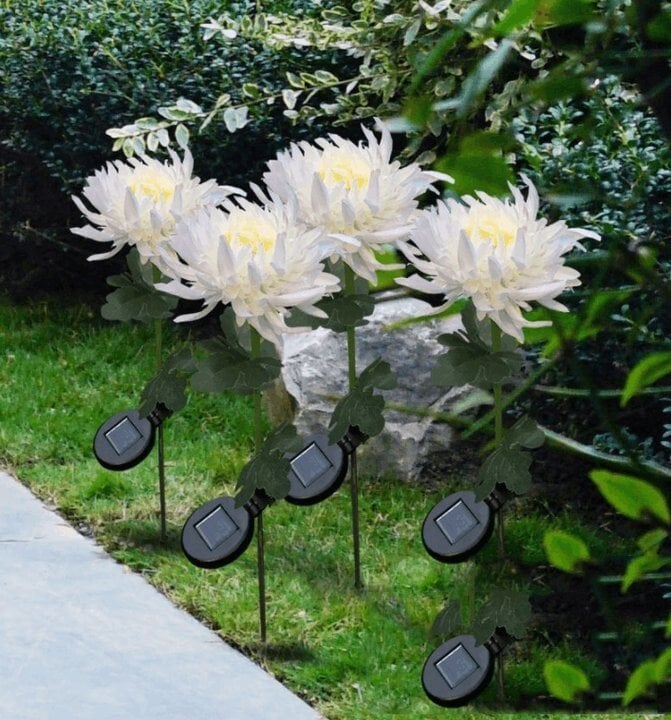 🎁Mother's Day 70% OFF 🎁Chrysanthemum Solar Garden Stake LED