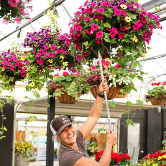 💖Hot Sale 70% OFF-Outdoor Artificial Pansy Flowers💐
