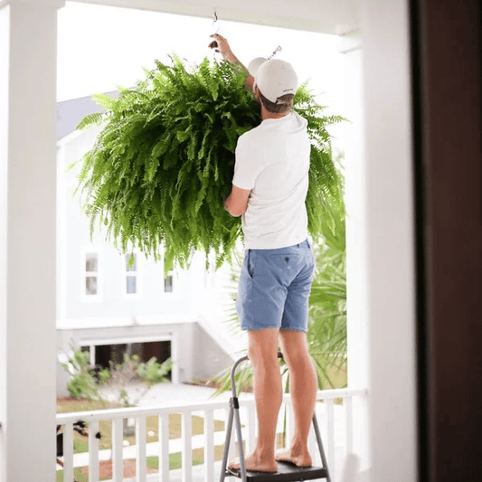 🔥 $9.98 On Sale Only Today  🌱 UV-Resistant Lifelike Artificial Boston Fern