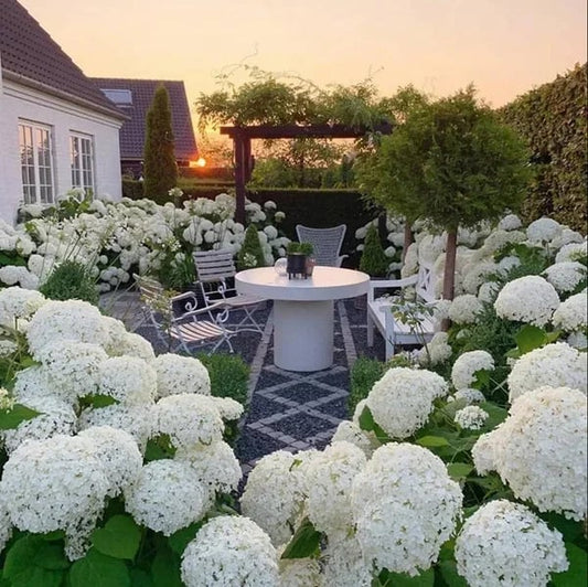 🔥 $9.98 On Sale Only Today 💐Outdoor Artificial Hydrangea Flowers