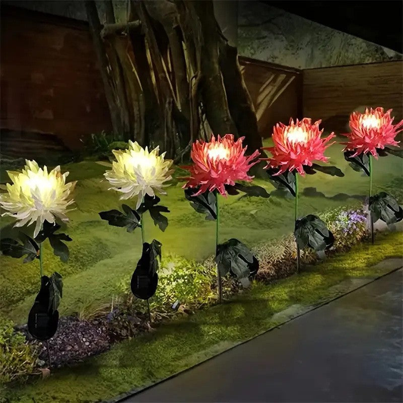 🔥2025 HOT SALE🔥Solar Outdoor Butterfly Lights💐