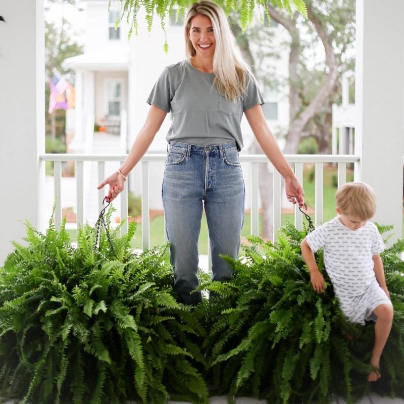 🔥 $9.98 On Sale Only Today  🌱 UV-Resistant Lifelike Artificial Boston Fern